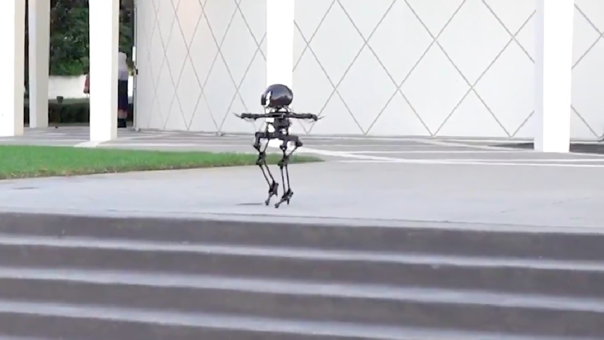 The lion: a robot that flies and walks on a tightrope on two legs