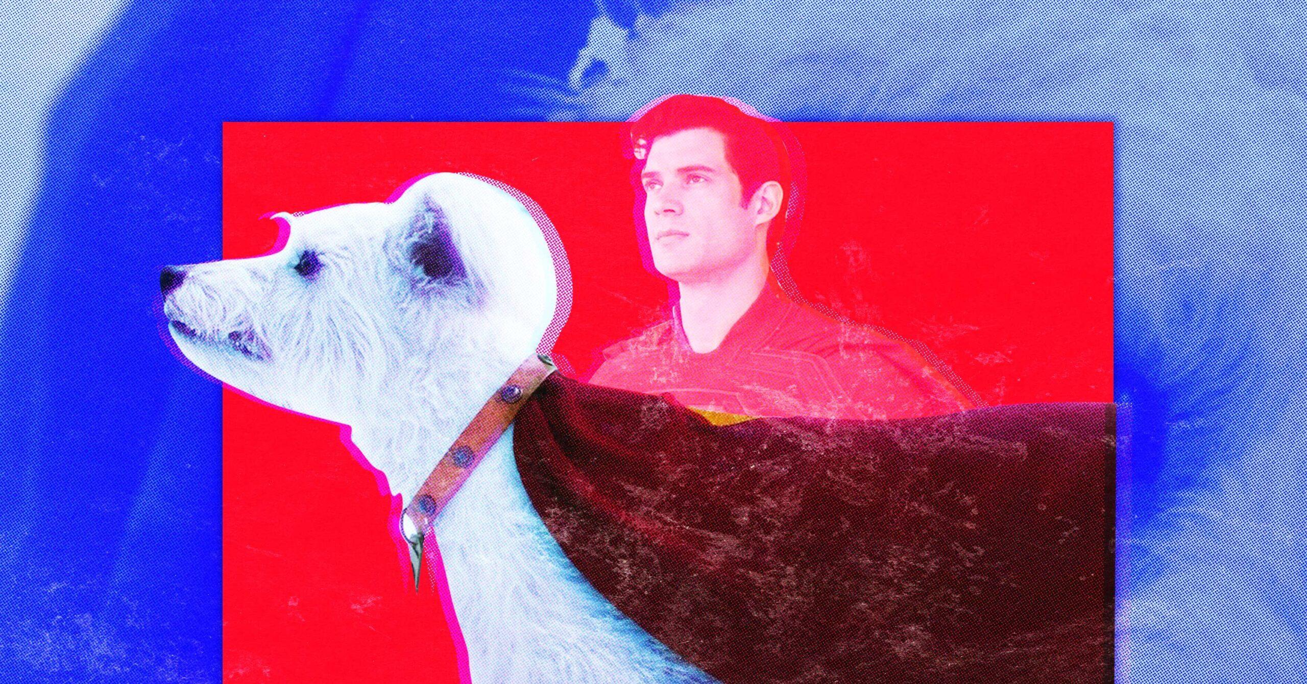 Let's: Crypto Dogs a Risk in 'Superman' - Ringer