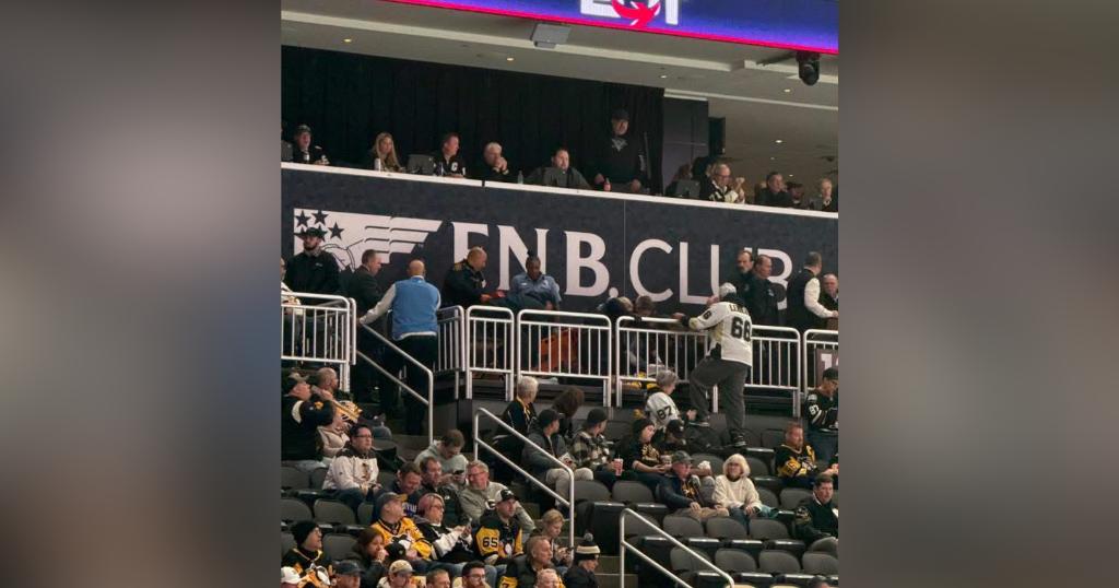 A fan falls from the stands at PPG Paints Arena in Pittsburgh during the Penguins-Blues game - CBS P...
