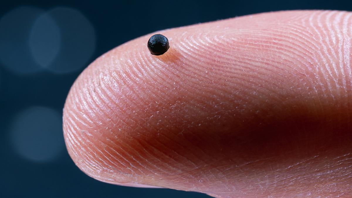 These tiny robots swim in your blood to fight strokespopular science