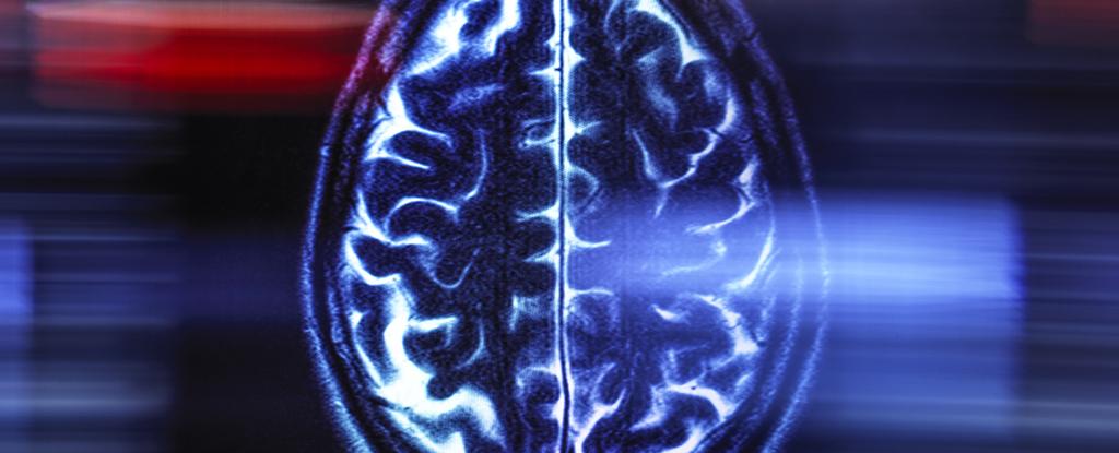 Through your life is a single brain brain can reveal from half the way you are gonna rise: