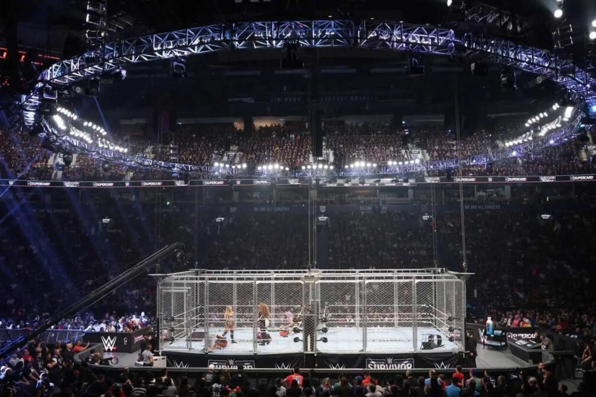 Injured WWE Superstar To Return At Survivor Series 2025: Report -