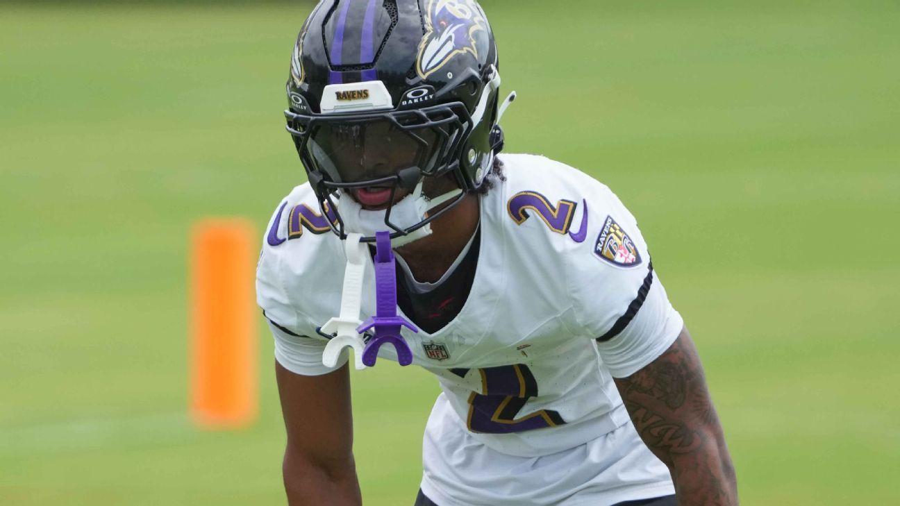 The pigs of the ravens were removed from practice after the attack on the foal