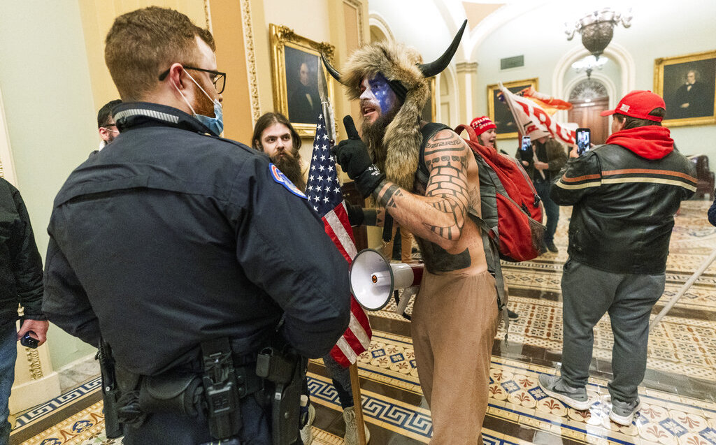 By storming the Capitol, they arrested the horned man