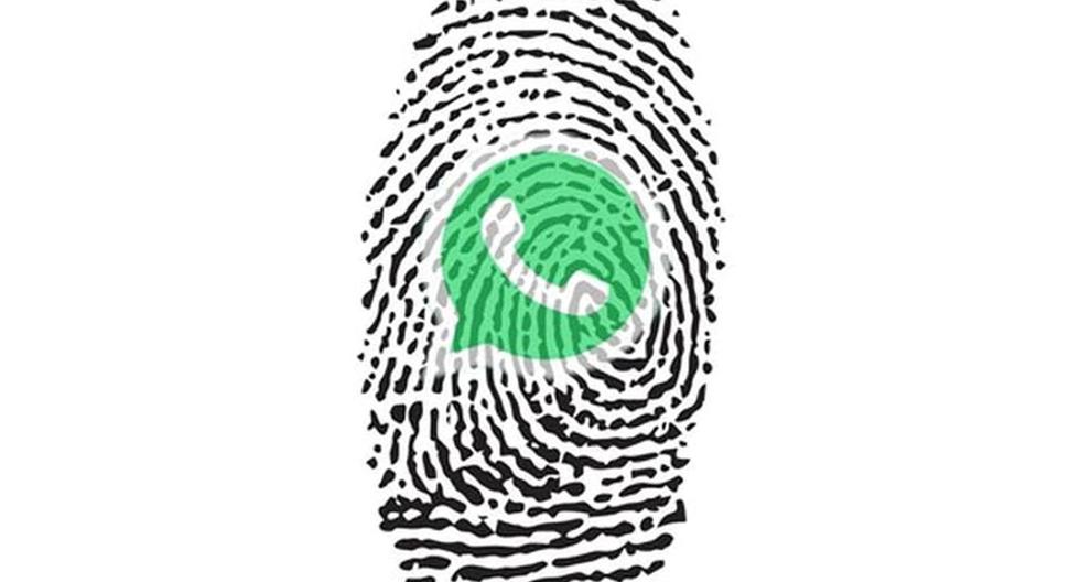 WhatsApp: How to Lock an Account with a Fingerprint Without External Apps |  Applications |  Applications |  Smartphone |  Mobile phones |  viral |  trick |  Tutorial |  United States |  Spain |  Mexico |  nnda nnni |  Technique