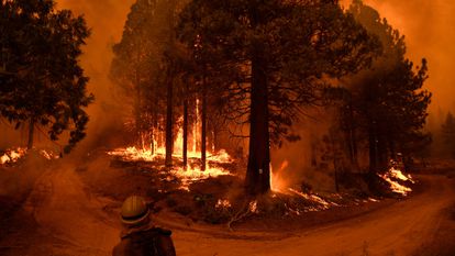A fire in Sequoia National Park (California) in September 2021. The fire that Sylvester watches closely from his home in New Zealand.
